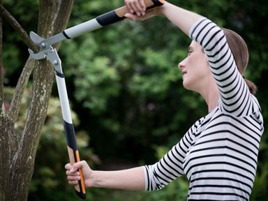 fiskars-quantum-bypass-takkenschaar