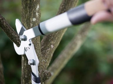 fiskars-quantum-bypass-takkenschaar