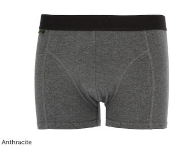 4x-basset-bamboo-boxershort