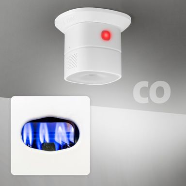 alecto-smartcoa10-co-melder-zigbee