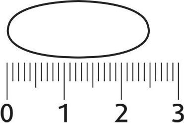 2x-lucovitaal-fischol-120-kapseln