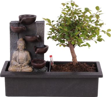 bonsai-met-waterval-buddha-25-30-cm