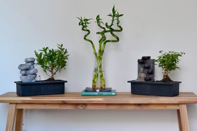 bonsai-met-waterval-stones-25-30-cm