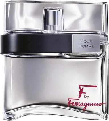 f-by-salvatore-ferragamo-pour-homme-edt-100-ml