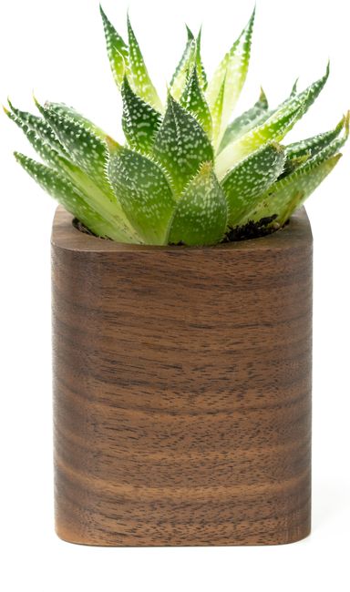 wooden-amsterdam-vierkante-plantenpot