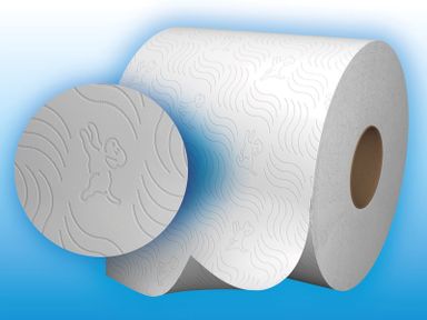 72-rollen-page-original-toiletpapier
