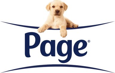 96-rollen-page-original-toiletpapier