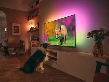 philips-65-the-one-4k-ambilight-tv-65pus8548