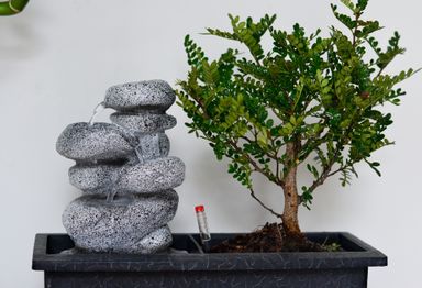 bonsai-met-waterval-stones-25-30-cm