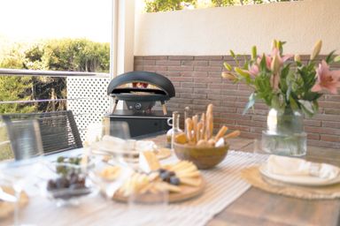 le-feu-turtle-motion-18-gas-pizza-oven