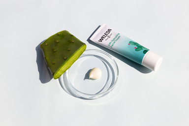 3x-weleda-gezichtscreme-vijgencactus