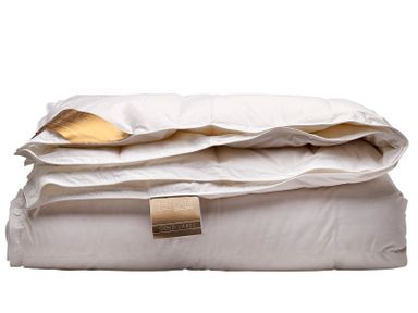 ten-cate-4-seiz-ganzendons-dekbed-200-x-200-cm