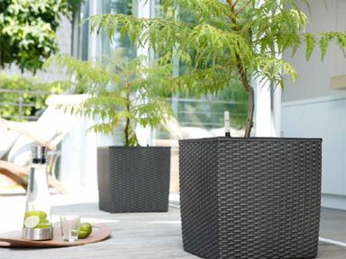 2x-emsa-casa-mesh-blumenwurfel-31-cm