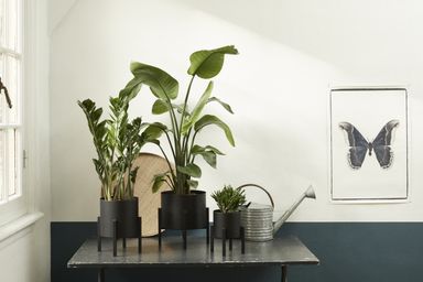 lifa-living-lotus-plantenbak-laag
