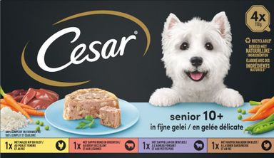 24x-cesar-hondenvoer-senior-10-mix-in-gelei-kuipjes-150g-product-0