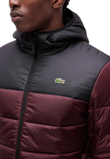 50-black-oxalis-z8s-bh6763-63-1hb1-men-s-jacket-09-lacoste-product-0
