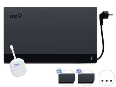 fox-ess-mainz-p1-png-product-1