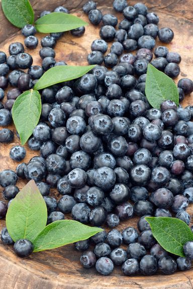 29-2-8717032005188-gardenzo-vitamine-planten-mix-in-9cm-pot-x-8-2x-gojibes-2x-honingbes-2x-blauwe-product-22