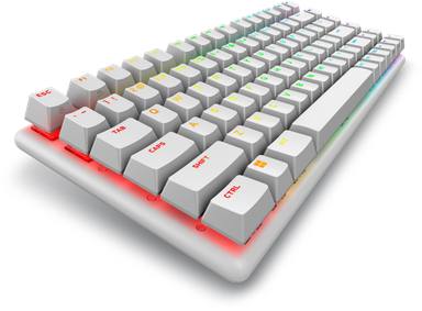 alienware-pro-wireless-gaming-keyboard-white-qwerty-580bbmv-product-0