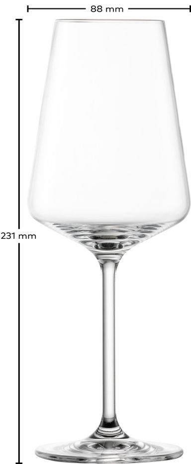 schot-zwiessel-passionata-white-wine-set-van-12-glazen-55054903925700-product-2