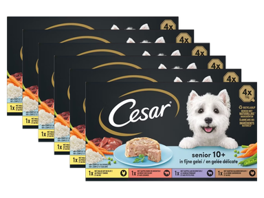 cesar-01-png-product-1