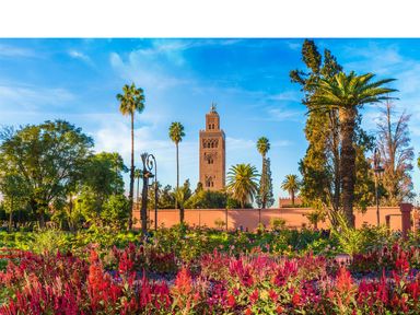 stedentrip-marrakech-incl-retourvlucht