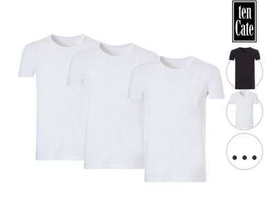 3x-ten-cate-organic-basic-t-shirt-heren