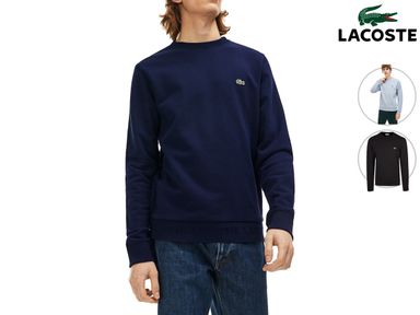 lacoste-sweater-cotton-blend