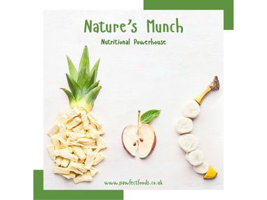 6x-pawfect-natures-munch-ananas-40-g