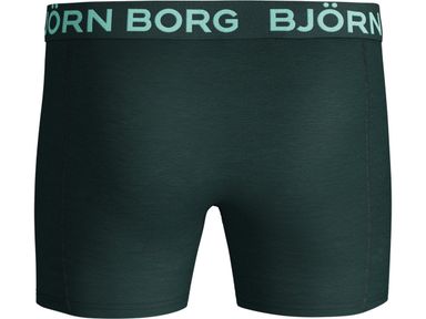 2x-bjorn-borg-hanakotoba-boxershorts