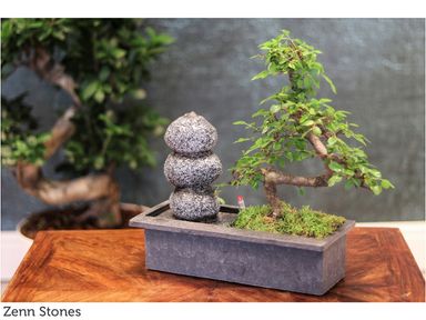 bonsai-mit-wasserfall-zenn-steine-2535-cm