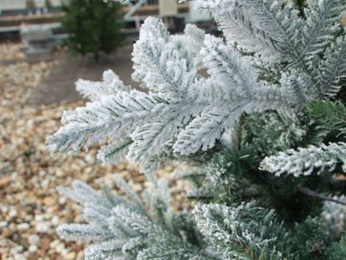 nordic-snow-kerstboom-210-cm