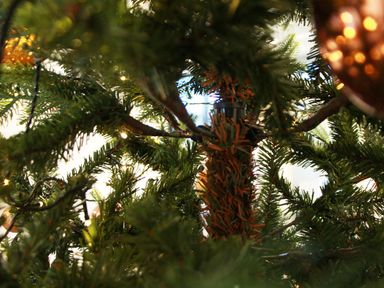 orlando-kerstboom-150-cm