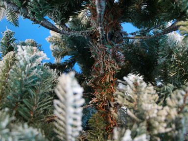 weihnachtsbaum-nordic-snow-180-cm