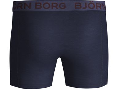 bjorn-borg-winetasting-shorts-fur-herren