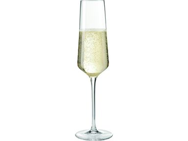 6x-leonardo-champagneglas