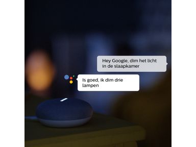 google-nest-mini-philips-hue-lampe