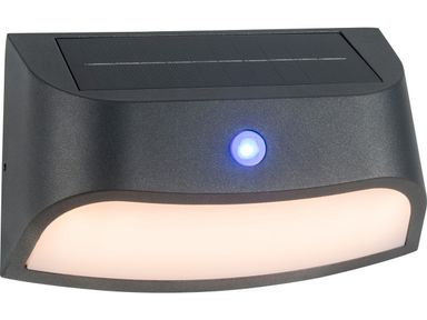 aeg-buitenlamp-payton-led-solar-sensor