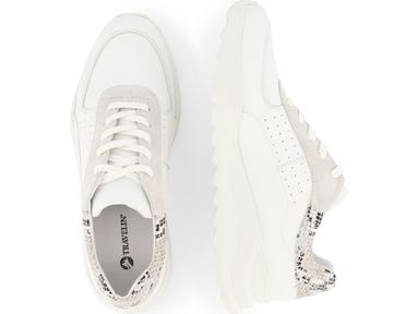 travelin-withnell-sneakers-dames