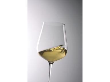 6x-schott-zwiesel-riesling-wijnglas