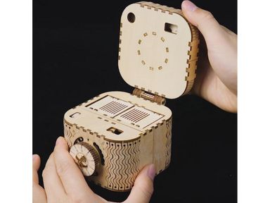 model-drewaniany-rokr-treasure-box