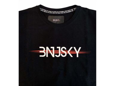 bnjsky-fight-t-shirt-herren