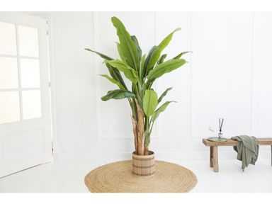 lifa-living-kunstliche-bananenpflanze