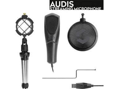 mikrofon-strumieniowy-audis