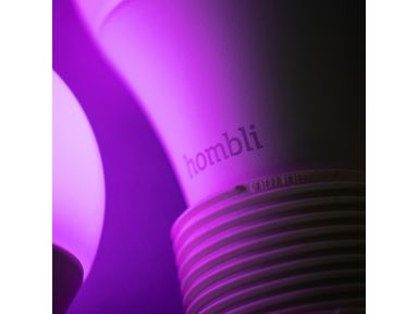 2x-dimmbare-smart-led-e14-wifi