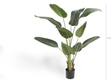 lifa-living-kunstplant-strelitzia