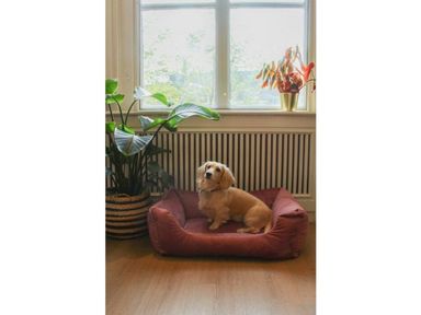 hondenbed-bico-85-x-63-cm