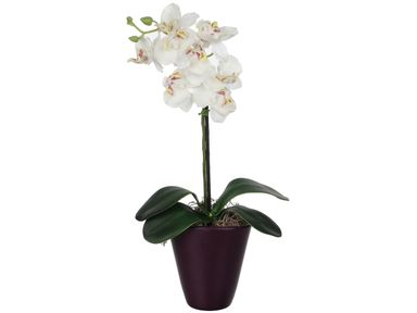 2x-kunstpflanze-phalaenopsis-h-35-cm