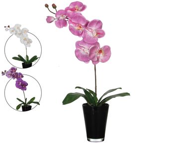 2x-kunstpflanze-phalaenopsis-65-cm
