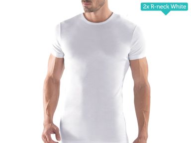 2x-td1813-basic-t-shirt